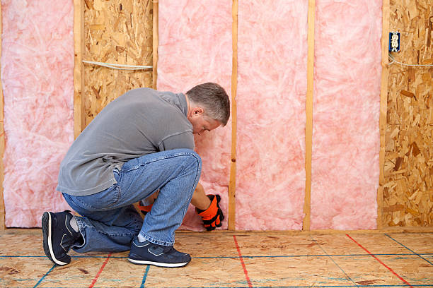 Best Insulation Maintenance and Repair in Ama, LA